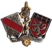 insignelyon1essai1